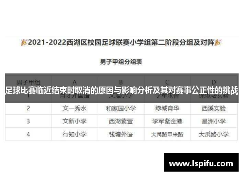 足球比赛临近结束时取消的原因与影响分析及其对赛事公正性的挑战